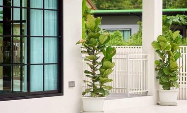 🏡 Pool Villa for Rent/Sale | Private Pool House near Outer Ring Road – 7.9 MB / Rent 60,000 THB