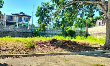 Lot for sale inside Molave Highlands Subdivision, Yati, Liloan, Cebu