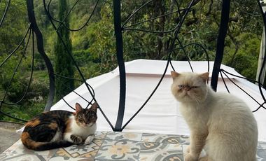 VENTA CASA CAMPESTRE CALDAS