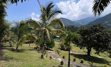 VENTA CASA CAMPESTRE FREDONIA