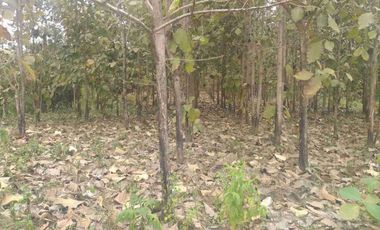 Terreno en Venta Frente al Río Quevedo, Ecuador