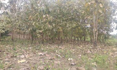Terreno en Venta Frente al Río Quevedo, Ecuador