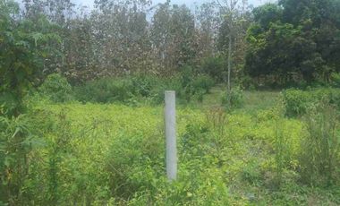 Terreno en Venta Frente al Río Quevedo, Ecuador