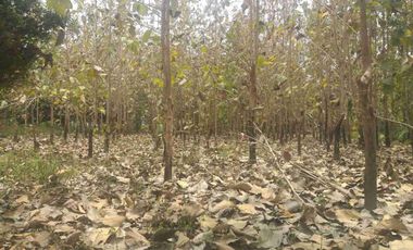Terreno en Venta Frente al Río Quevedo, Ecuador