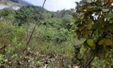 Terreno en Venta Frente al Río Quevedo, Ecuador