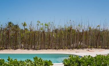 Pentgarden en Preventa en la Playa San Benito en Yucatán, entrega Verano 2026