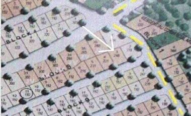 LOT FOR SALE in HAMPTON ORCHARDS BY FILINVEST