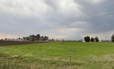 TERRENO DE SIEMBRA