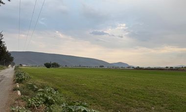 TERRENO DE SIEMBRA