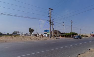 📍 TERRENO DE 8 HECTÁREAS EN VENTA EN CHINCHA – FRENTE ASFALTADO Y GRAN POTENCIAL DE DESARROLLO