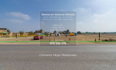 📍 TERRENO DE 8 HECTÁREAS EN VENTA EN CHINCHA – FRENTE ASFALTADO Y GRAN POTENCIAL DE DESARROLLO