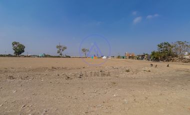 📍 TERRENO DE 8 HECTÁREAS EN VENTA EN CHINCHA – FRENTE ASFALTADO Y GRAN POTENCIAL DE DESARROLLO