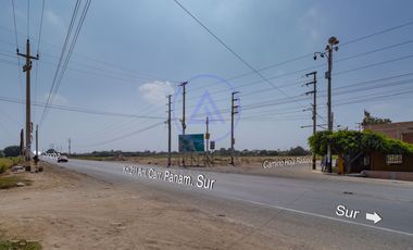 📍 TERRENO DE 8 HECTÁREAS EN VENTA EN CHINCHA – FRENTE ASFALTADO Y GRAN POTENCIAL DE DESARROLLO