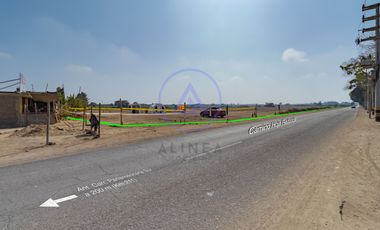 📍 TERRENO DE 8 HECTÁREAS EN VENTA EN CHINCHA – FRENTE ASFALTADO Y GRAN POTENCIAL DE DESARROLLO