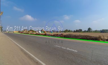 📍 TERRENO DE 8 HECTÁREAS EN VENTA EN CHINCHA – FRENTE ASFALTADO Y GRAN POTENCIAL DE DESARROLLO