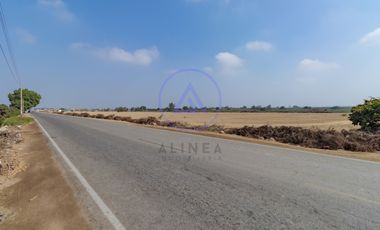 📍 TERRENO DE 8 HECTÁREAS EN VENTA EN CHINCHA – FRENTE ASFALTADO Y GRAN POTENCIAL DE DESARROLLO
