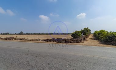 📍 TERRENO DE 8 HECTÁREAS EN VENTA EN CHINCHA – FRENTE ASFALTADO Y GRAN POTENCIAL DE DESARROLLO