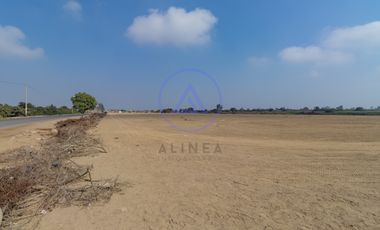 📍 TERRENO DE 8 HECTÁREAS EN VENTA EN CHINCHA – FRENTE ASFALTADO Y GRAN POTENCIAL DE DESARROLLO