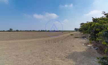 📍 TERRENO DE 8 HECTÁREAS EN VENTA EN CHINCHA – FRENTE ASFALTADO Y GRAN POTENCIAL DE DESARROLLO