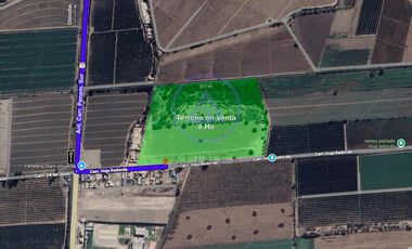📍 TERRENO DE 8 HECTÁREAS EN VENTA EN CHINCHA – FRENTE ASFALTADO Y GRAN POTENCIAL DE DESARROLLO