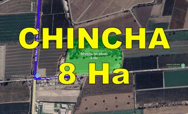 📍 TERRENO DE 8 HECTÁREAS EN VENTA EN CHINCHA – FRENTE ASFALTADO Y GRAN POTENCIAL DE DESARROLLO