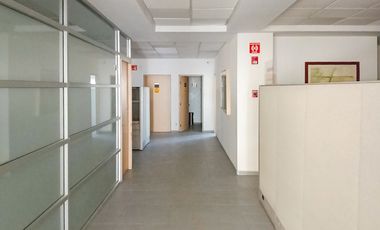 Se renta oficinas 554 m2 en edificio corporativo ciudad Juarez Chih
