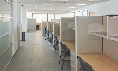 Se renta oficinas 554 m2 en edificio corporativo ciudad Juarez Chih