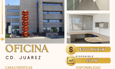 Se renta oficinas 554 m2 en edificio corporativo ciudad Juarez Chih
