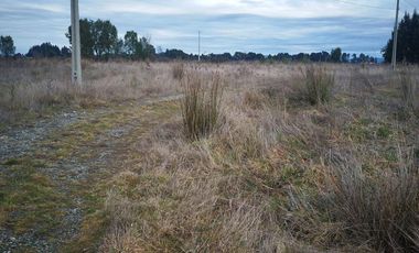 Terreno en Venta en Freire