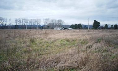Terreno en Venta en Freire
