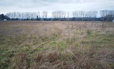 Terreno en Venta en Freire