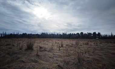 Terreno en Venta en Freire