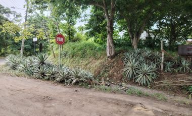 Terreno esquinero de venta en la Urbanización Lago de Capeira, 1528 m2