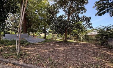 Golden Village LOT for SALE