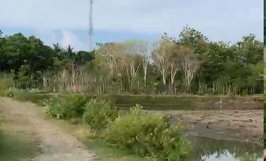 Kavling Dekat Laut di Aceh Besar