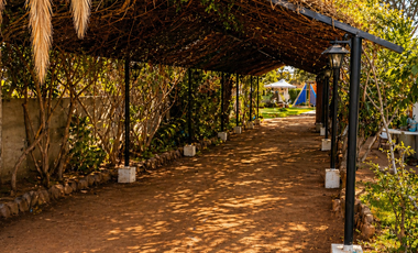 Venta parcela con casa, piscina,árboles frutales Valle Azapa