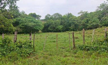 SE VENDE FINCA GANADERA DE 150 HECTÁREAS EN PORE – CASANARE