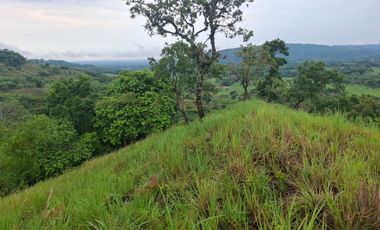 SE VENDE FINCA GANADERA DE 150 HECTÁREAS EN PORE – CASANARE
