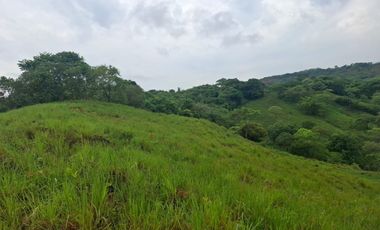 SE VENDE FINCA GANADERA DE 150 HECTÁREAS EN PORE – CASANARE