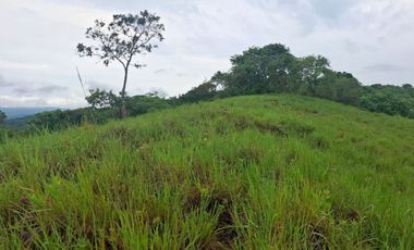 SE VENDE FINCA GANADERA DE 150 HECTÁREAS EN PORE – CASANARE