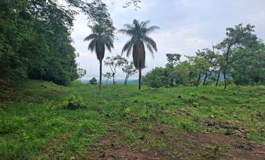 SE VENDE FINCA GANADERA DE 150 HECTÁREAS EN PORE – CASANARE