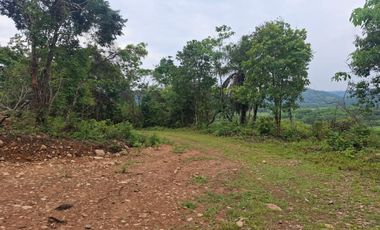 SE VENDE FINCA GANADERA DE 150 HECTÁREAS EN PORE – CASANARE