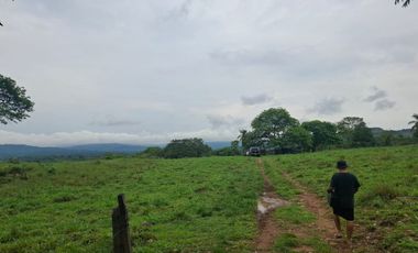 SE VENDE FINCA GANADERA DE 150 HECTÁREAS EN PORE – CASANARE