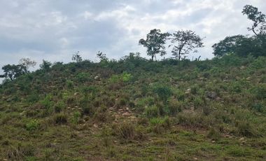 SE VENDE FINCA GANADERA DE 150 HECTÁREAS EN PORE – CASANARE