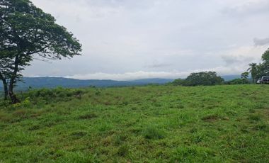 SE VENDE FINCA GANADERA DE 150 HECTÁREAS EN PORE – CASANARE