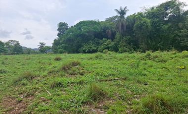 SE VENDE FINCA GANADERA DE 150 HECTÁREAS EN PORE – CASANARE