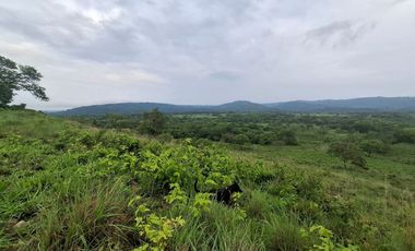 SE VENDE FINCA GANADERA DE 150 HECTÁREAS EN PORE – CASANARE
