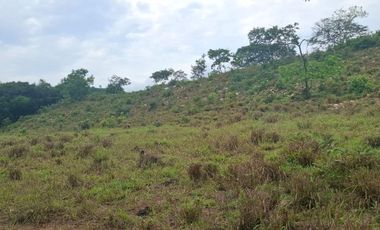 SE VENDE FINCA GANADERA DE 150 HECTÁREAS EN PORE – CASANARE