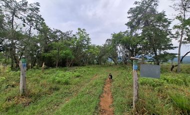 SE VENDE FINCA GANADERA DE 150 HECTÁREAS EN PORE – CASANARE