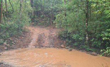 SE VENDE FINCA GANADERA DE 150 HECTÁREAS EN PORE – CASANARE